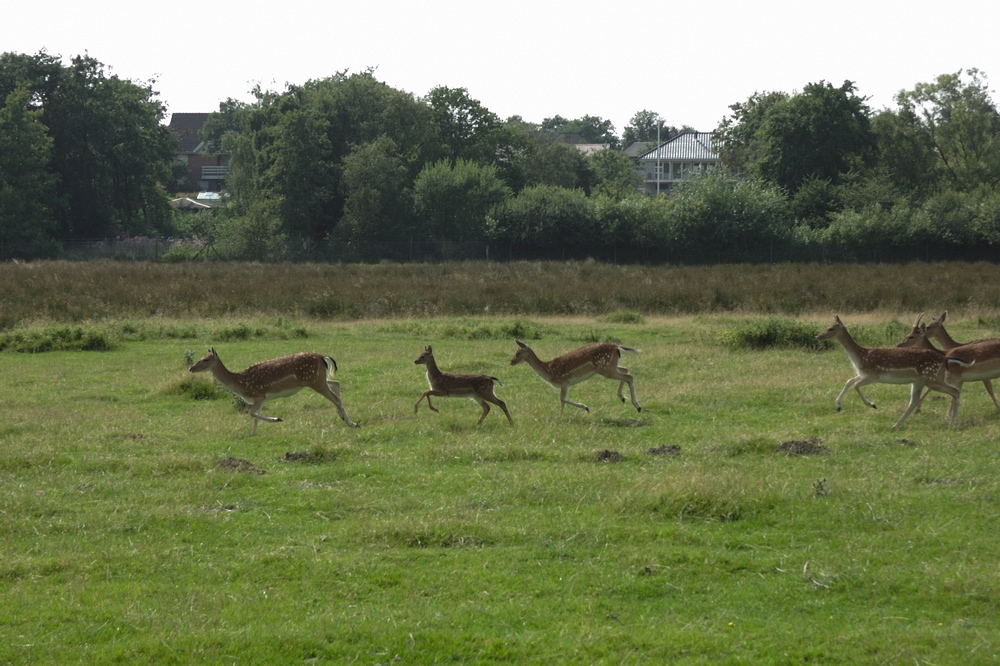 crw_3796.jpg