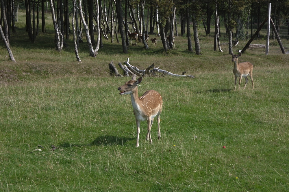 crw_3813.jpg