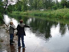 Klik på oversigt for at forstørre dsc00623.jpg