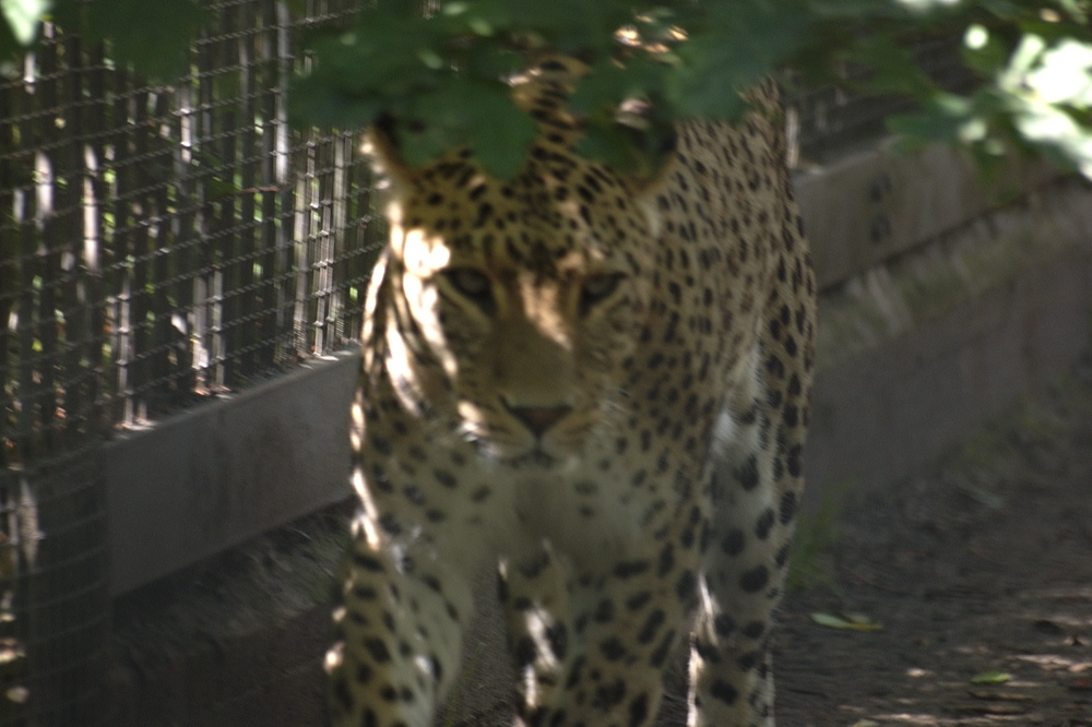 crw_1379.jpg