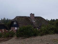 L1000373