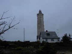 L1000503
