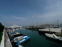 _1050463-out1