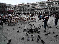 _1050561-out1