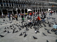 _1050595-out1