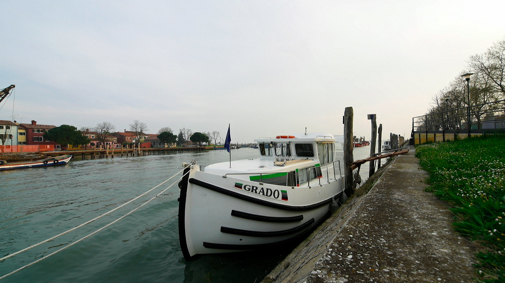 _1060208-out1.jpg