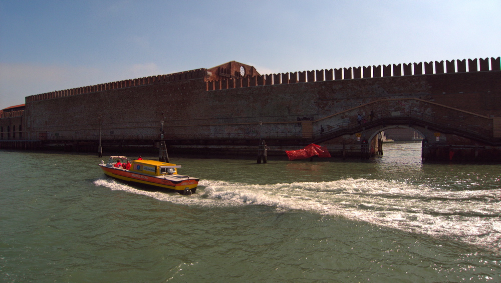 p1000838-out1.jpg